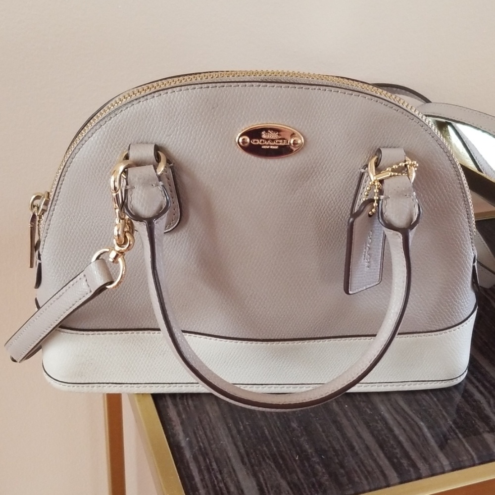Coach mini sierra